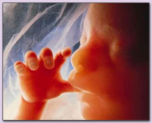 Wereldwijd gebed voor ongeboren kind