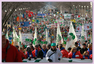 March for Life (foto: AP)
