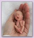 Klei popje ter grootte van een kindje in de moederschoot van 12 weken