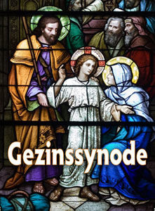 Gezinssynode