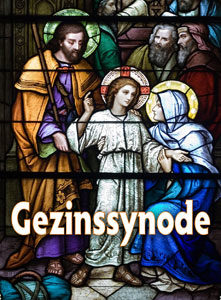 Gezinssynode