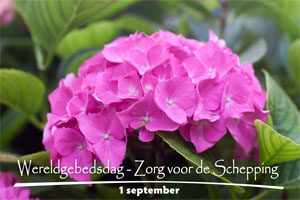 1 September - Wereldgebedsdag - Zorg voor de schepping