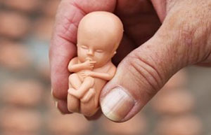 Poppetje van een ongeboren baby van 10 weken